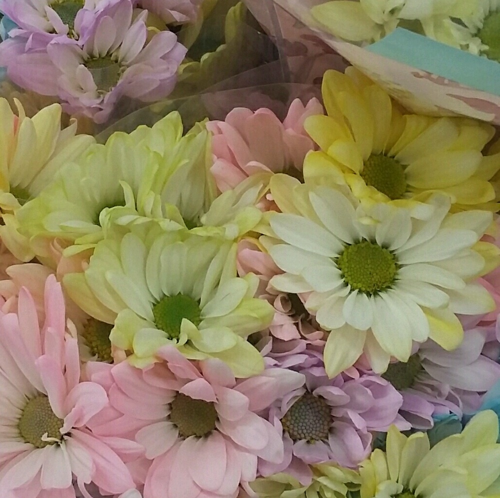 Meet your Posher, Kristie